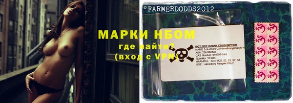 стафф Семилуки