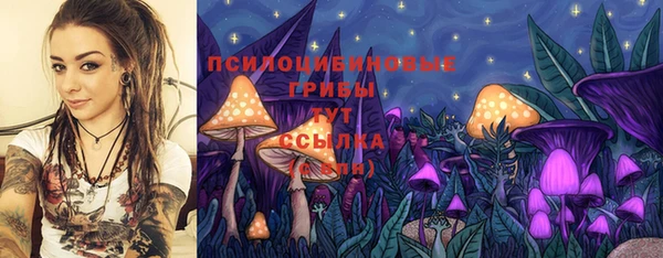 кокс Абаза