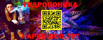 шишки Ирбит