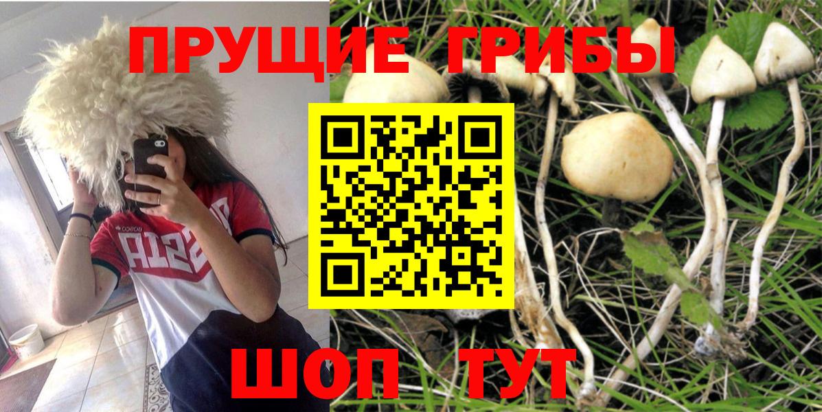 Кудымкар  Псилоцибиновые грибы MAGIC MUSHROOMS  Галлюциногенные грибы ЛСД  Вход с VPN 